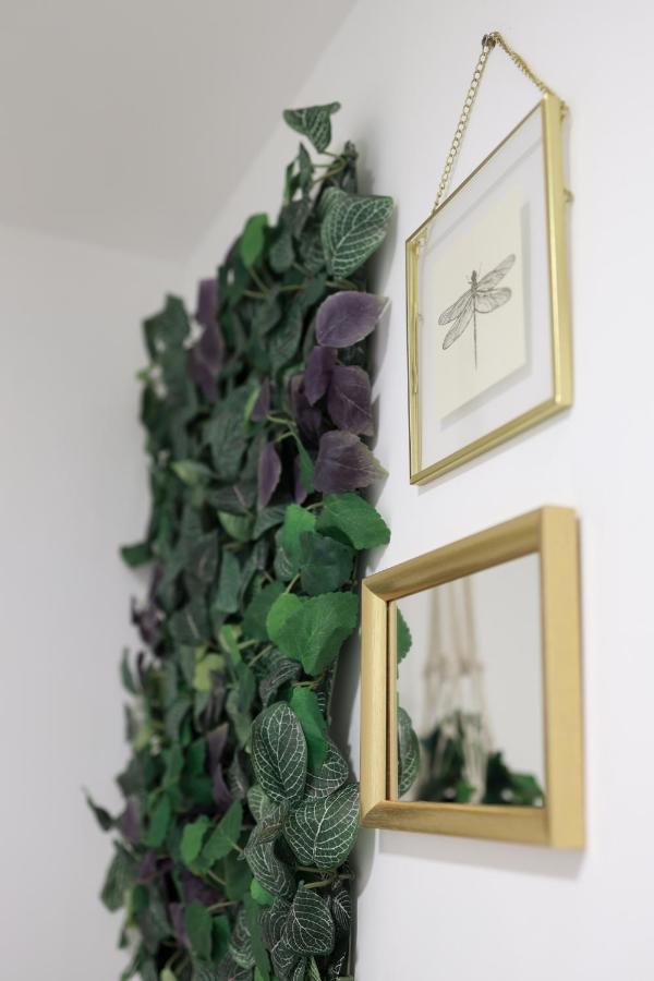 Cedofeita Charming Flat Appartement *